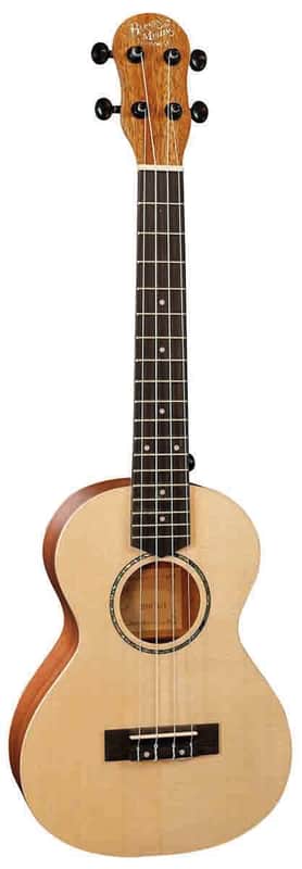 Barnes & Mullins BMU K6C Concert Sp image 1
