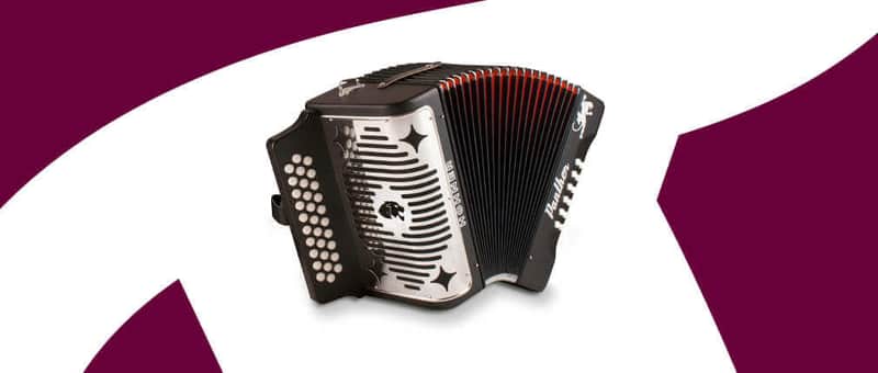 Hohner 3100GB Panther 31 Button Diatonic Accordion, Key GCF imagen 1