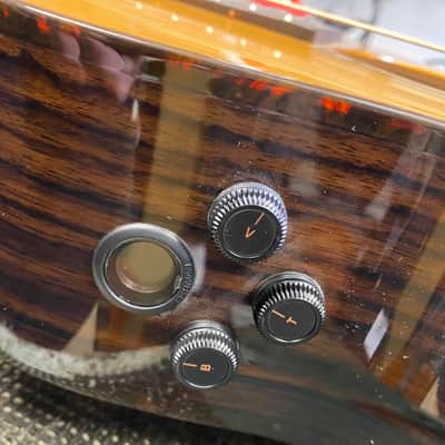 2023 Breedlove Performer Pro Concertina A CE - Includes Hardshell Case image 13
