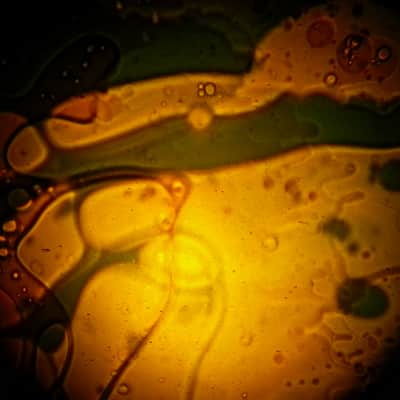 (3) Can You Imagine RARE Liquid Light Projector 2000's Psychedelic Show Oil Wheel Light Projection image 6