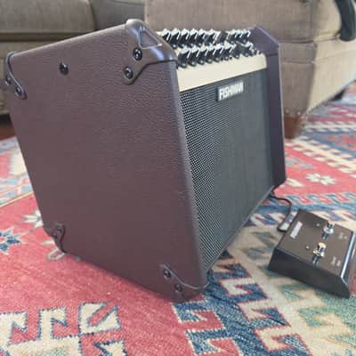 Fishman Loud box Artist 2021 - Brown image 2