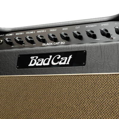 Bad Cat Mod Shop Black Cat 30 Combo (Mark Sampson Mod) image 5