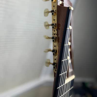 Asturias A18-11 11 String Altoguitar Alto Guitar image 9
