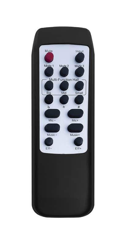 Singtronic DSP-3000 Pro - Thumbnail 4