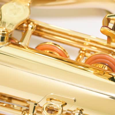 Yamaha YAS-280 Alto Saxophone image 14