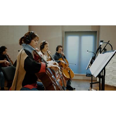 Vienna Symphonic Library Synchron Duality Strings Bundle - Standard Library image 7