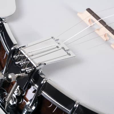 Washburn B11 5-String Resonator Banjo - Americana Series image 4