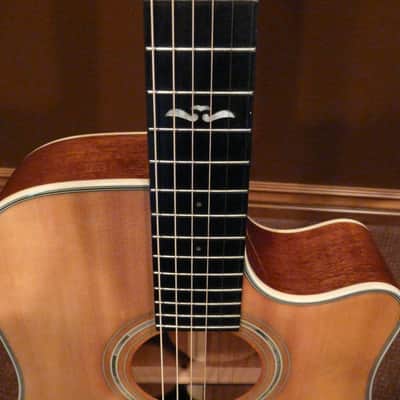 Alvarez 5080 N Artist "Natural Fusion" System 500 Spruce/Mahogany Excellent Condition Plastic OHSC image 3