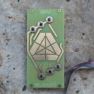 Ieaskul F. Mobenthey Mr Grassi Eurorack Noise & Random Module image 1