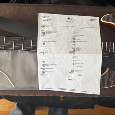 Suhr Modern Custom Color Quilt **Just Insane!** image 20