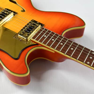 Eastwood Savannah DLX 2000s - Orange Burst Flame Maple image 5
