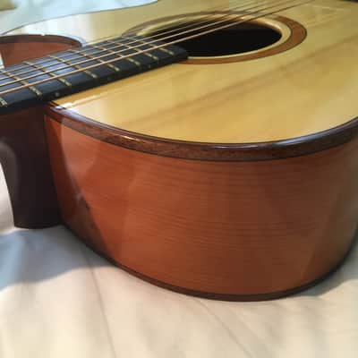Brook Tavy 2015 Alpine spruce & English Yew acoustic guitar image 7