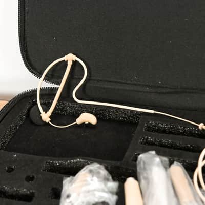 Samson SE10 Earset Microphone with Condenser Capsule & Accessories CG011AR image 2