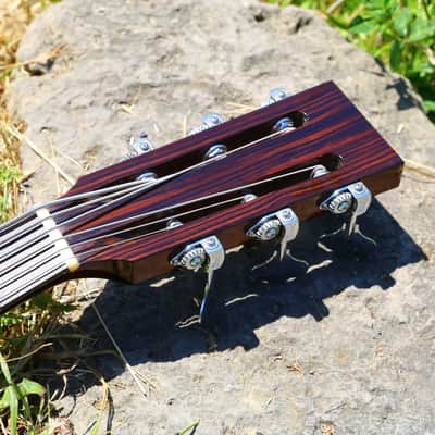 Specimen Luddite Six String Bass image 3
