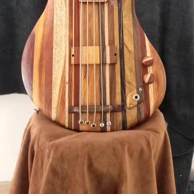 Thompson tribute Bassovarius #2 "Full Rainbow"5 strings bass image 2