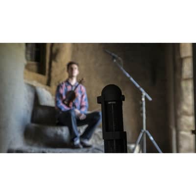 AEA R88 Stereo Ribbon Microphone image 4