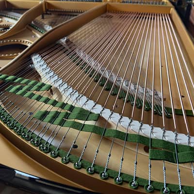 Immagine Bechstein V 1903 - Black Polish - 11