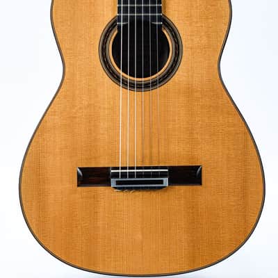 Antonio Raya Pardo Concert Spruce Rosewood 1997 image 5