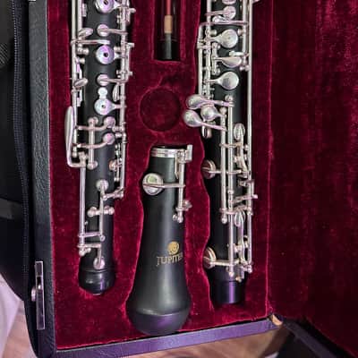 Jupiter Oboe 041614 - ABS Resin Body - Modified Conservatory System image 1