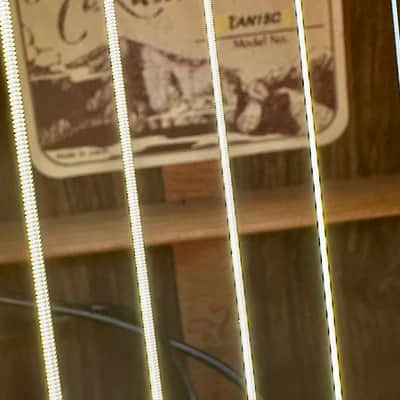 2003 Takamine TAN15C, CTP-1 Cool Tube image 5