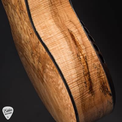 Kevin Ryan Mojave Series Paradiso Grand Concert - Engelmann Spruce & Spalted Maple - NAMM 2026 #1301 image 14