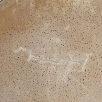Studio 49 RT350 13"Framedrum Hand Drum Natural Calf Skin 6x Tunable Lugs Germany image 8