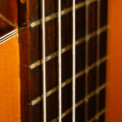 Hohner Contessa HG-14 Nylon String MIJ image 10
