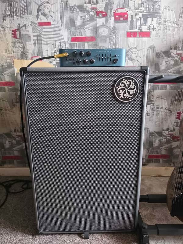 Darkglass Electronics DG212N 1000-Watt 2x12" 4 Ohm Bass Speaker Cabinet