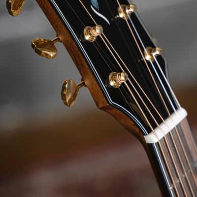 Cort Gold Series OC6 Bocote Acoustic Electric Guitar -*Case Included* 2020s - Natural Glossy image 18