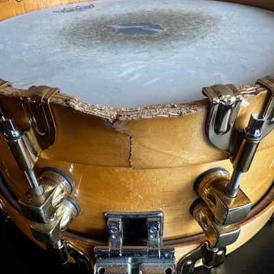 Premier 75th Anniversary Signia 14x5.5" 10-Lug Maple Snare Drum with Wood Hoops, Gold Hardware - Natural image 3