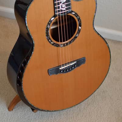 Kevin Ryan Paradiso Signature Series image 5
