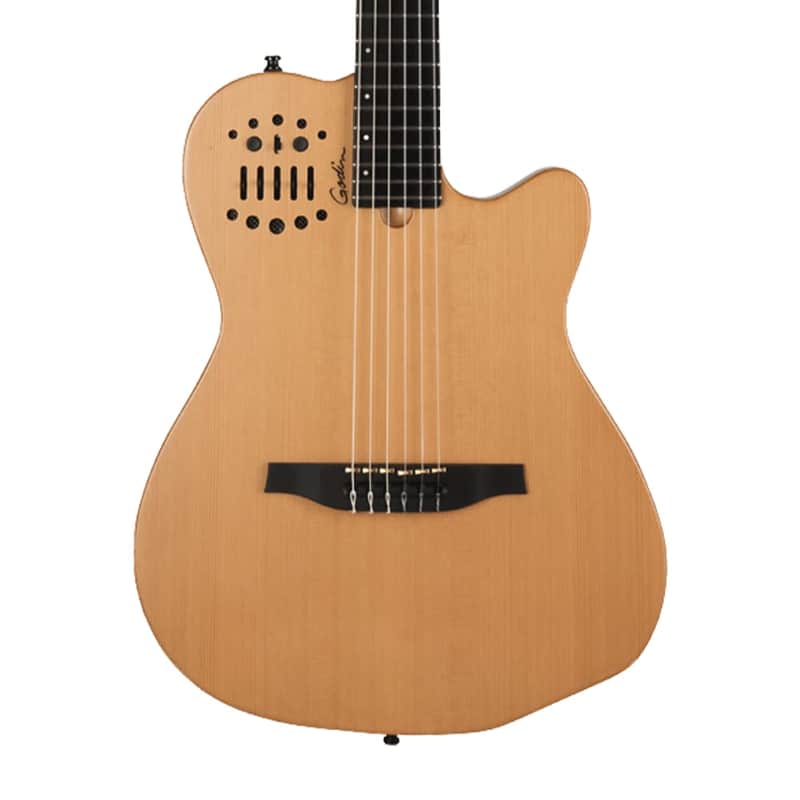 Godin ACS Nylon SG image 2