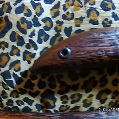 Conklin Sidewinder Custom   7 seven string Bass 36 frets! image 8