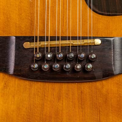 Daion MUGEN Mark I / 12 String w/ Factory Transducer Pickup image 5