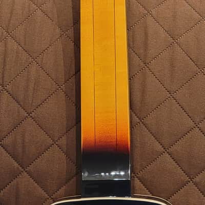 Gold Tone LS-6 Mahogany Top Maple Neck Solid Body 6-String Lap Steel Guitar w/Hard Case image 20