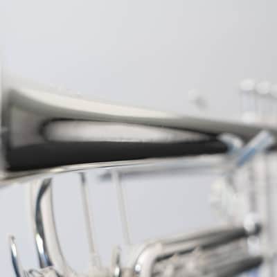 Yamaha YTR-8335GS Xeno Bb Trumpet with Gold Brass Bell (SN 4803xx) image 21
