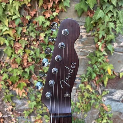 Fender TL-69 Rosewood Telecaster MIJ 1983 - 2015 - All Rose image 10