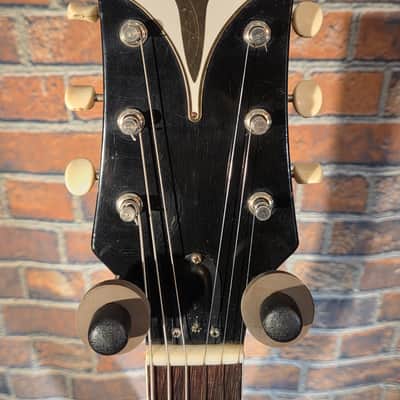 Vintage 1961 Epiphone E-312T Zephyr Sunburst image 2