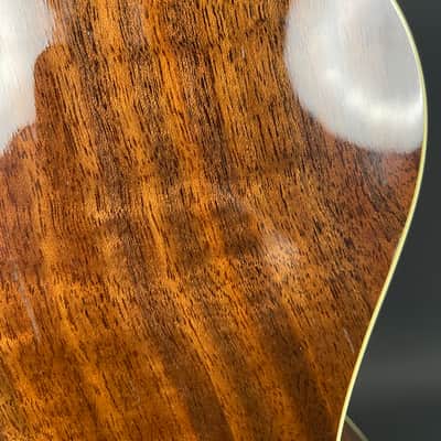 Taylor W14C 1999 Western Red Cedar / Figured Claro Walnut w/ OHSC & Fishman Pickup image 4