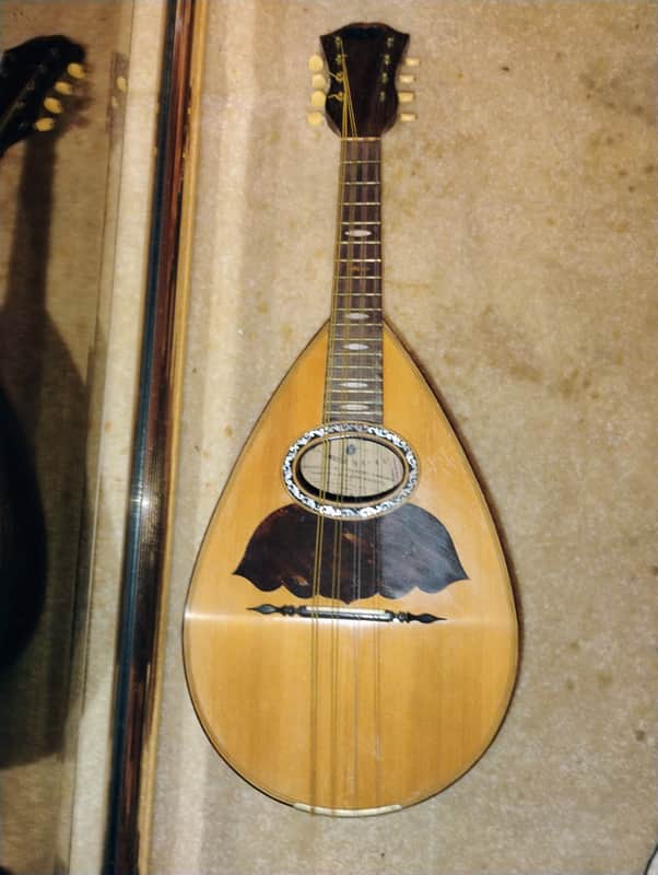 Vinaccia Bowlback 1907 or 1909 - Beautiful Wood image 1