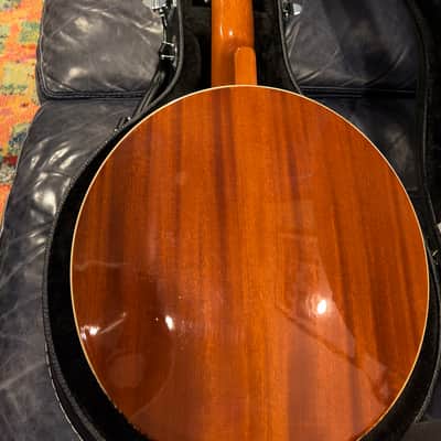 RW Jameson 6-string Banjitar with case image 3