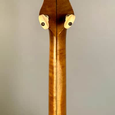 Vega Tubaphone Professional Tenor Banjo 1924 image 14