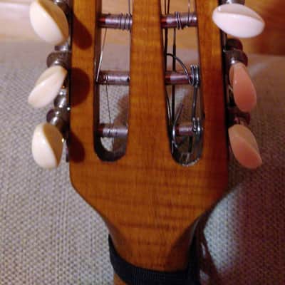 Liuto cantabile (mandocello 5 courses) image 9