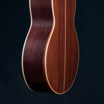 Lowden S-50 Madagascar Rosewood and Adirondack Spruce with Bevel and Leaf Inlays Used (2023) image 21
