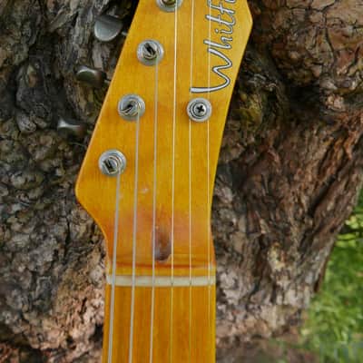 Whitfill 'Tejas' Billy Gibbons Tele image 7