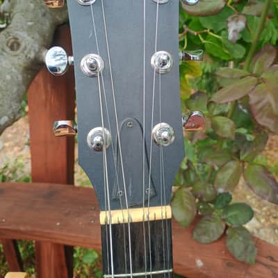Octave Mandolin Converted Taylor Big Baby Guitar image 3