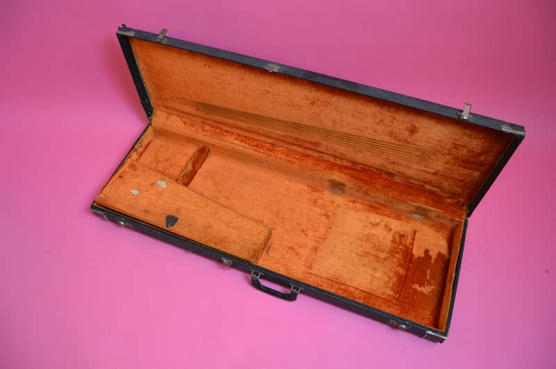 Fender Case