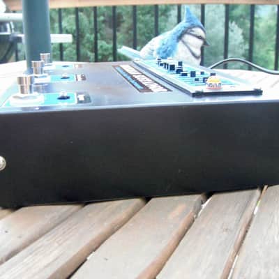 Rockman Sustainor 200 pedal image 5