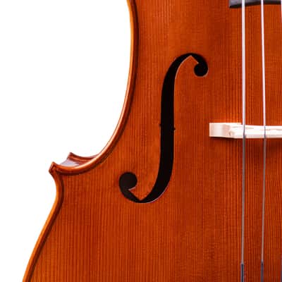 Great Stradivari Cello 4/4 from Flamed Maple - Hand-Made in Romania 2025 #59 image 3