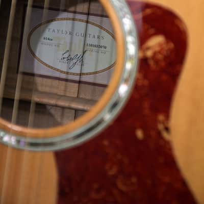 Immagine Taylor 614ce - Solid Maple / Spruce / Ebony - 10